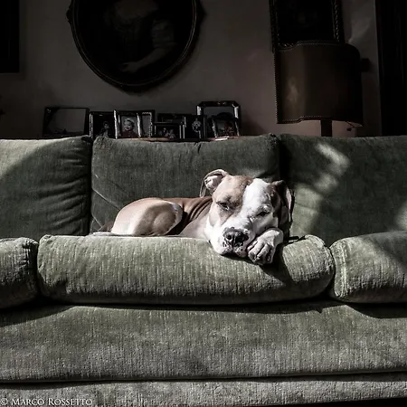 דירה Palazzo Altinate - Note Di Piano