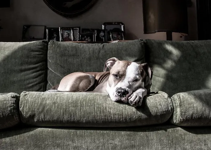 Appartement Palazzo Altinate - Note Di Piano